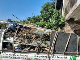 Best Commercial Junk Removal  in Davis Junction, IL