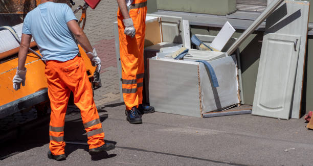 Best Dumpster Rental Services  in Davis Junction, IL