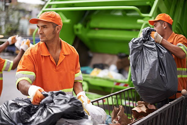 Best Recycling Services for Junk  in Davis Junction, IL